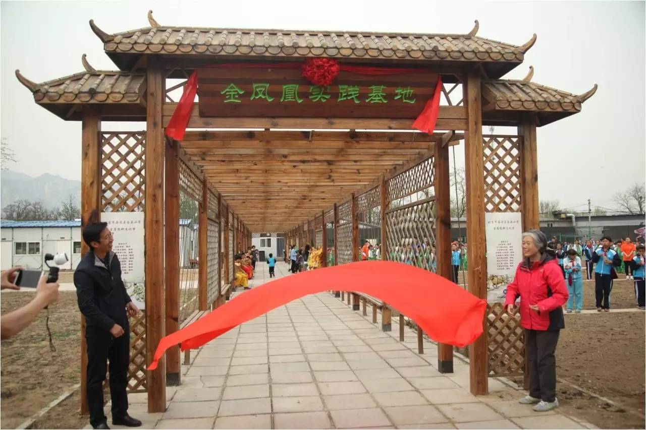 学校围观活动,围观校运会