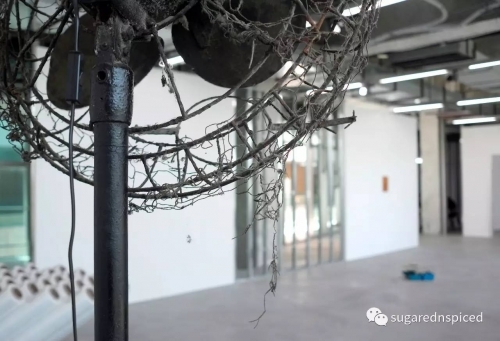 Farine之后，上海还有这些充满法国风情的地方