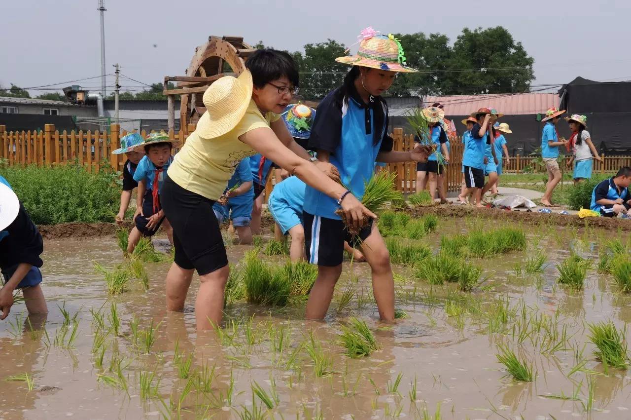 学校围观活动,围观校运会