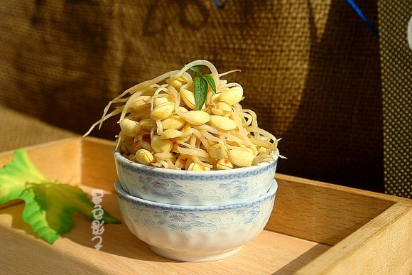 营养女性食谱大全,成年女性应该吃什么才能营养均衡