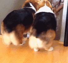 去台湾垦丁从哪出发最划算,垦丁晚上到台北怎么去