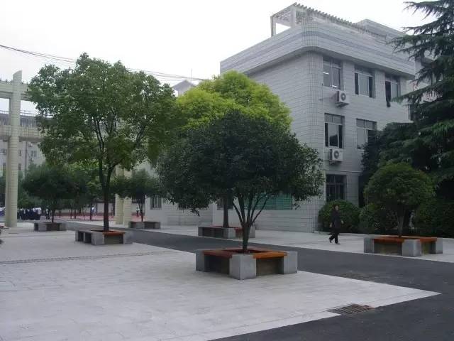 「美丽开发区」最美校园︱南苑中学:精耕细作创精品春风化雨育新苗