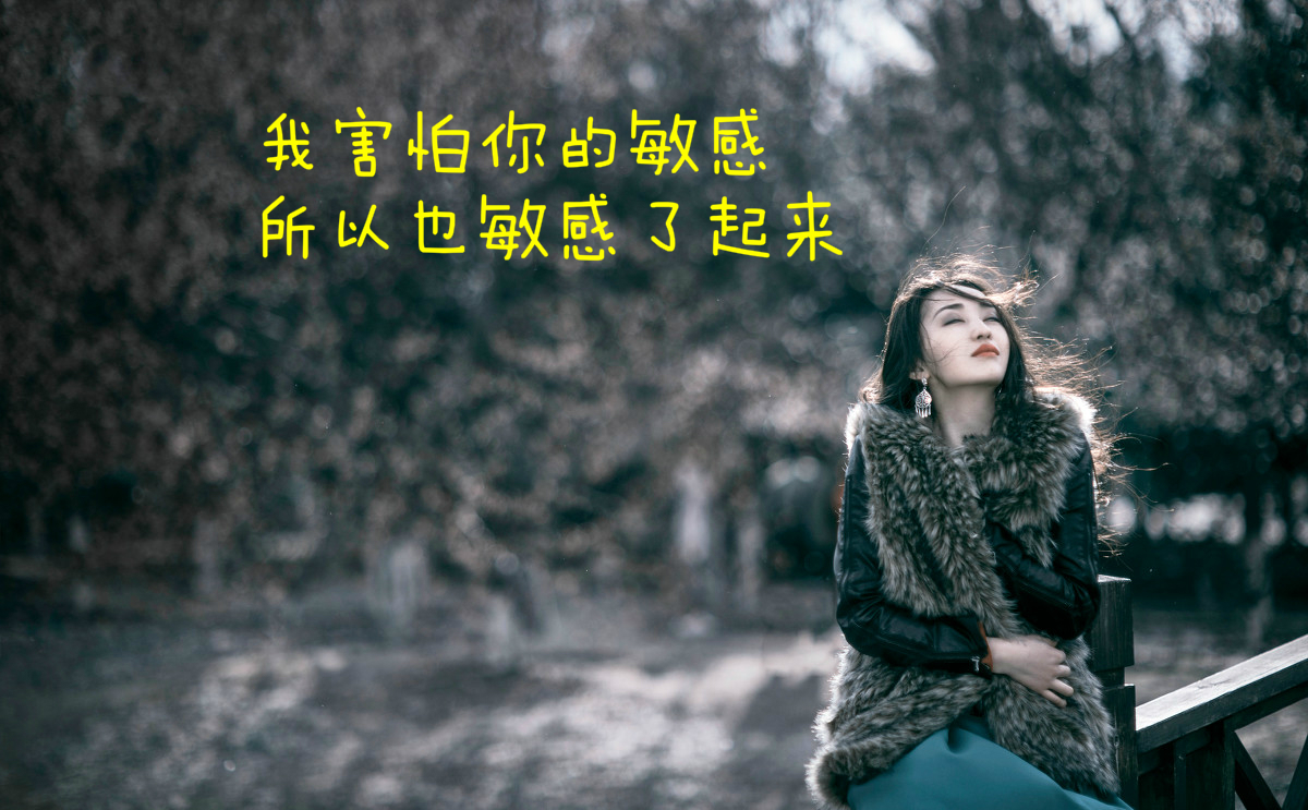 灵遁者的现代诗,灵遁者写的诗