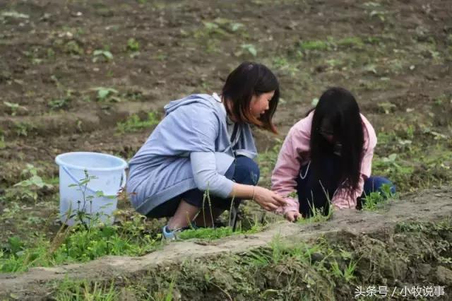 再见了四川大学,成都川大锦城学院