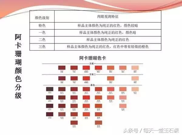 选购珊瑚,如何选好红珊瑚
