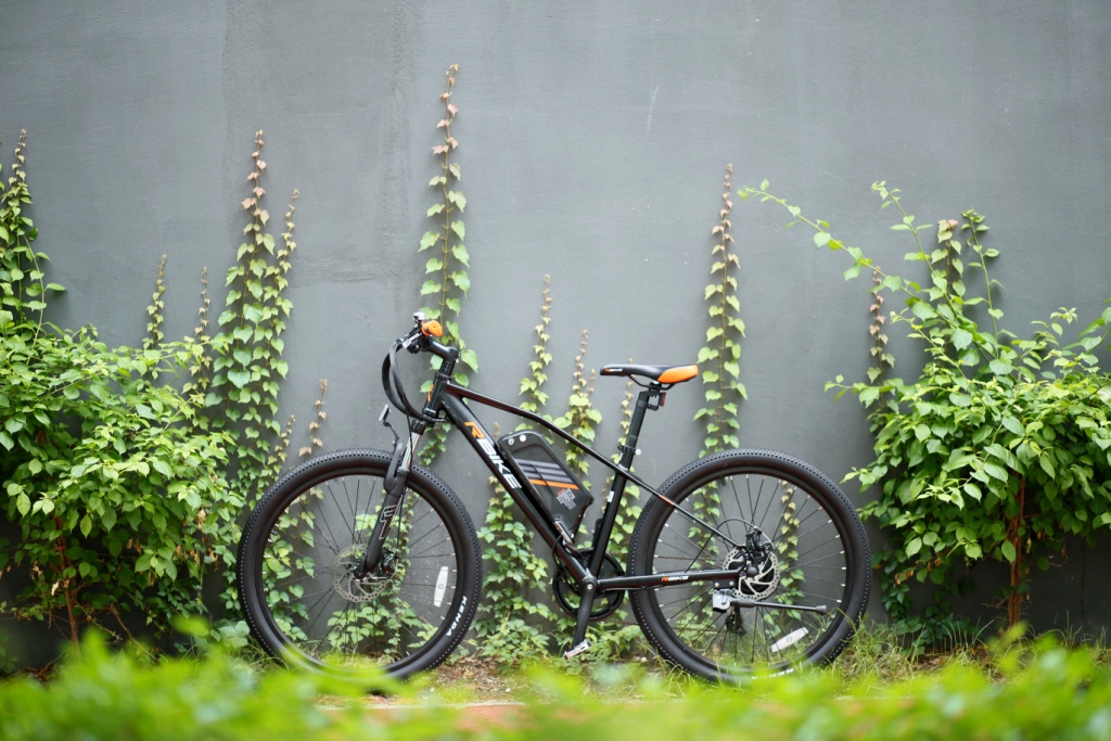 骑车遇到骑友咋办,骑车遇到猪原视频