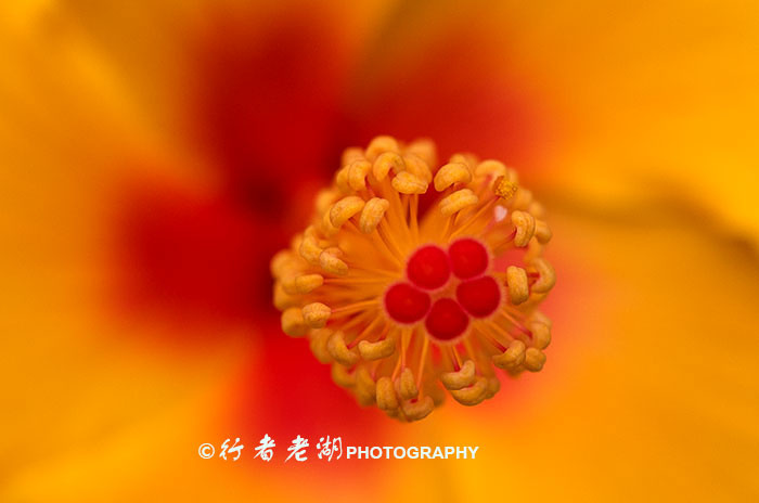 leica徕卡q中8个需要知道的技巧,徕卡相机q测评