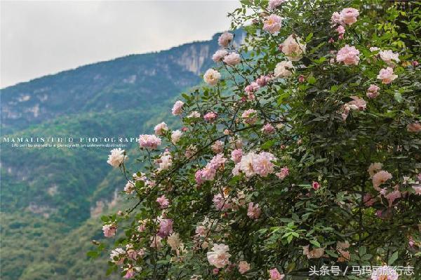 乌江百里画廊景区全景,千里乌江百里画廊古镇
