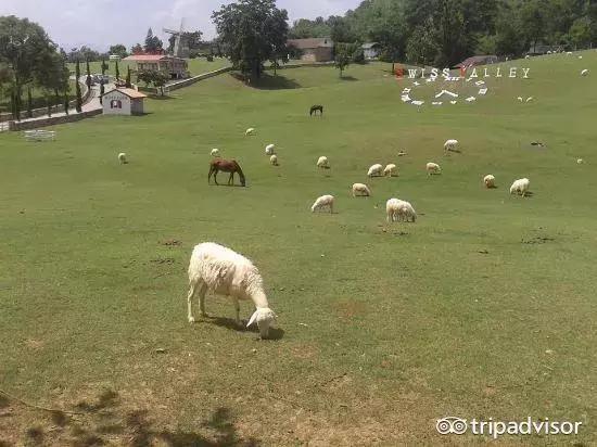 小长假最后一天去哪玩,小长假推荐人少的地方旅游