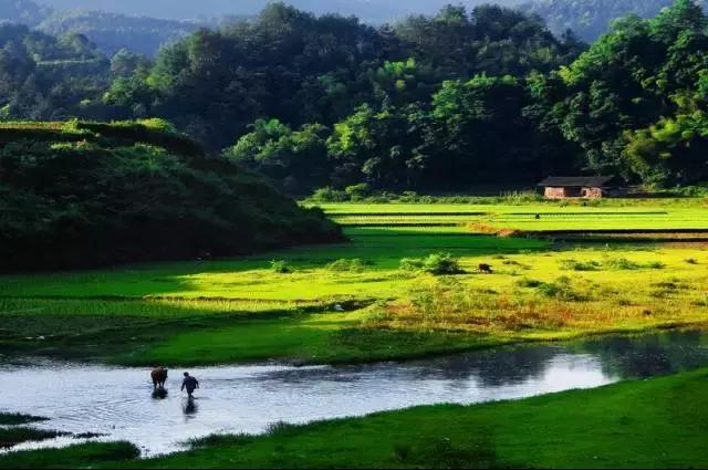 中国最美十大民族风情村寨,中国少数民族特色村寨旅游