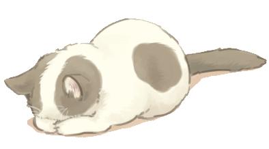 天气热宠物怎么样养好,天气热了宠物应该注意什么