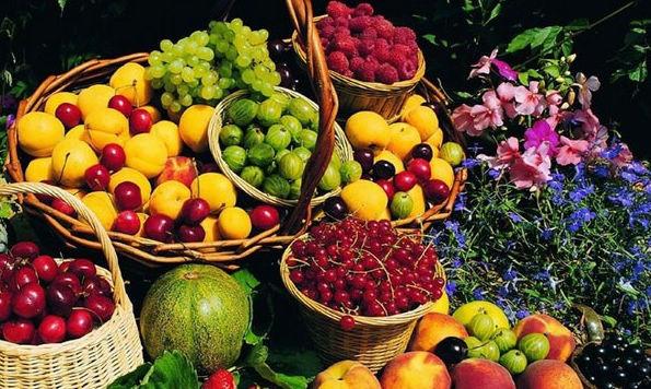 100元在新西兰必买清单,新西兰必买29件