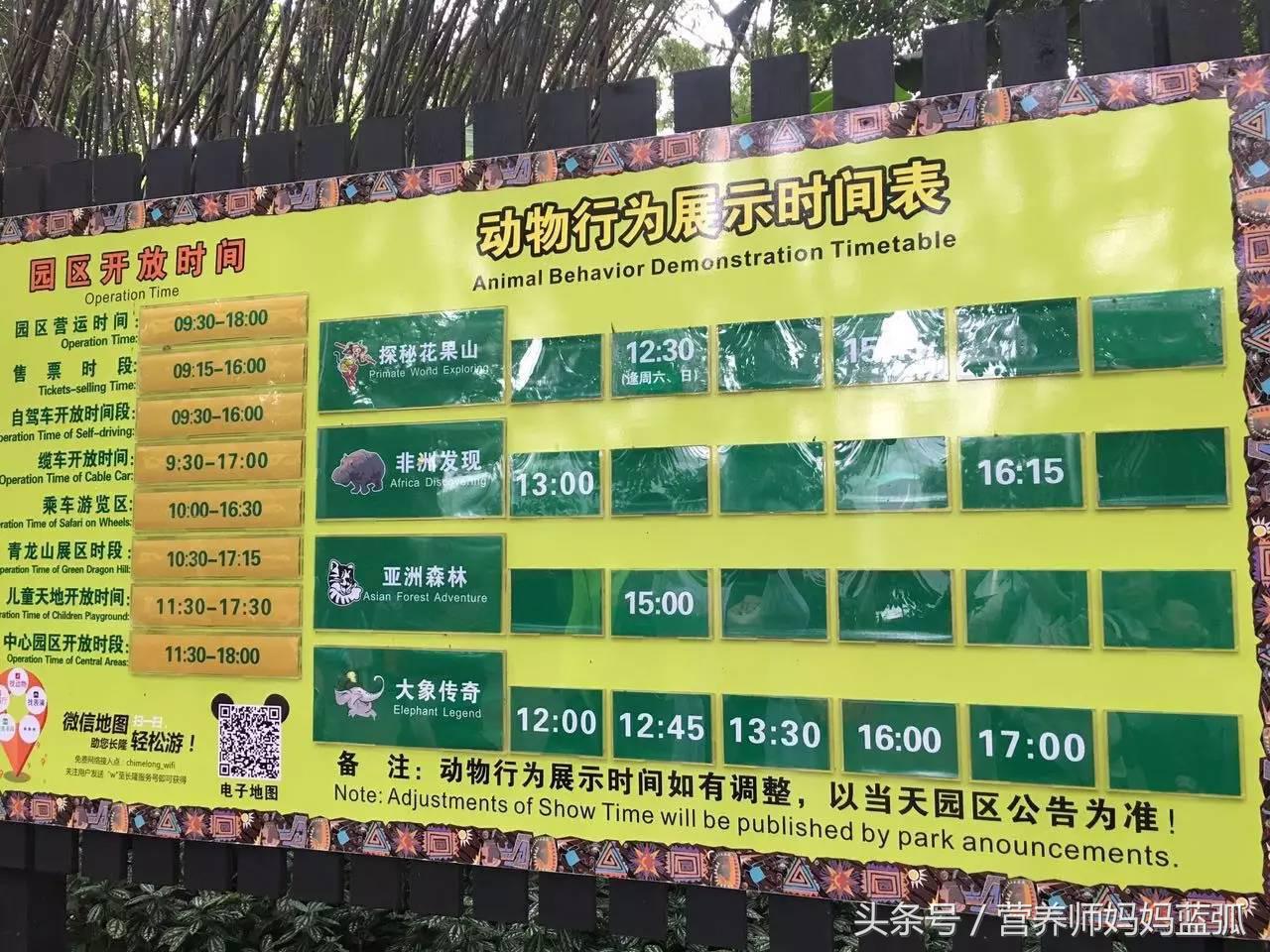 5.1带孩子去长隆推荐,带娃广东长隆欢乐世界游玩攻略