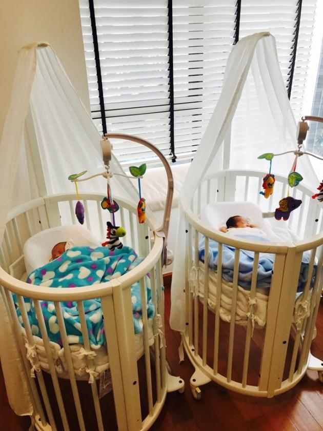 42岁杨采妮诞下双胞胎,杨采妮的双胞胎儿子多大