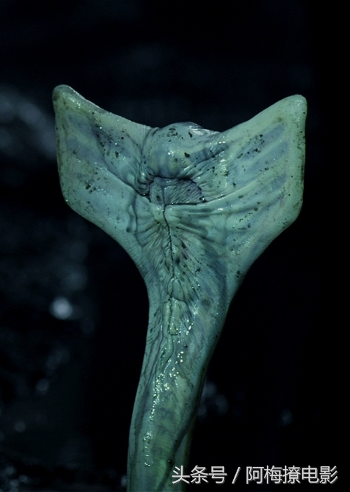 电影异形中最毛骨悚然的片段,8部最恐怖异形电影