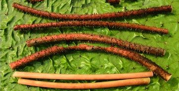 地道小吃童年味道,什么样的美食叫怀旧美食