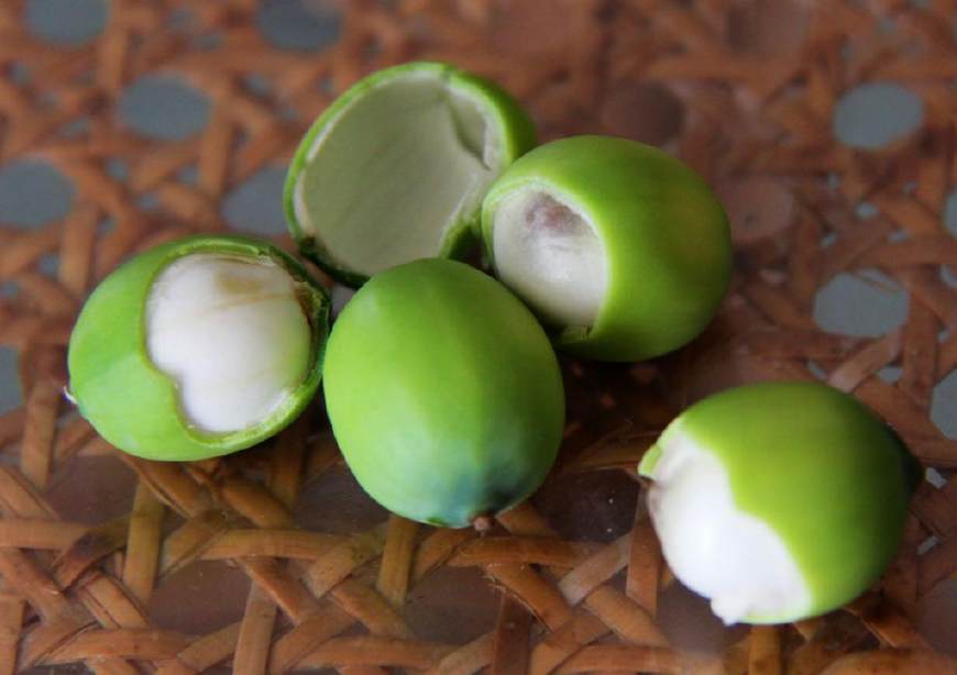 地道小吃童年味道,什么样的美食叫怀旧美食