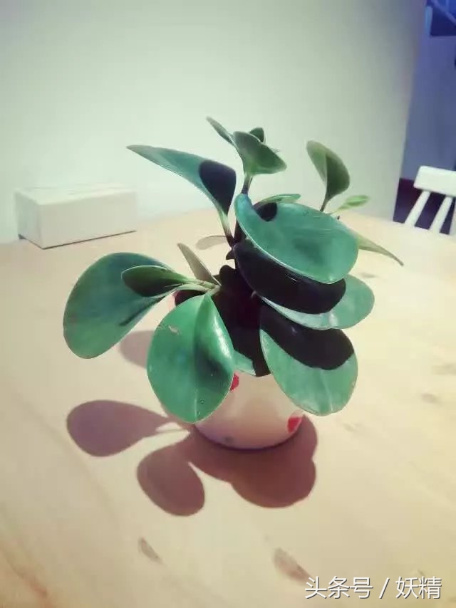 藏书楼天一阁取名天一的寓意,天一阁为什么叫天一