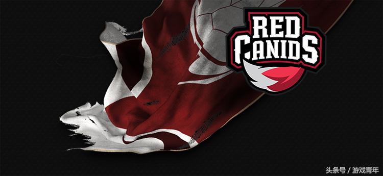 2018msi小组赛rwvskt,msi季中赛视频rw