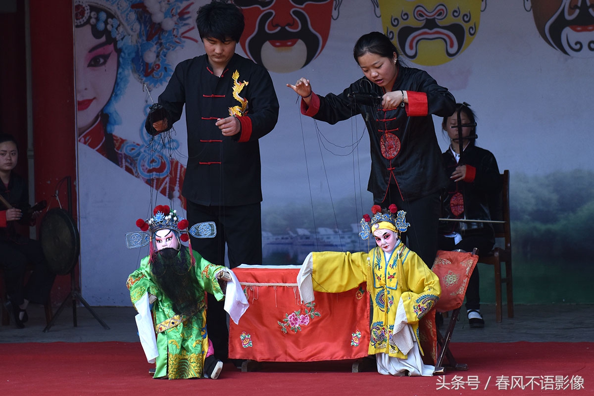 冬天来合阳,赏万顷芦荡,候鸟齐飞(组图)