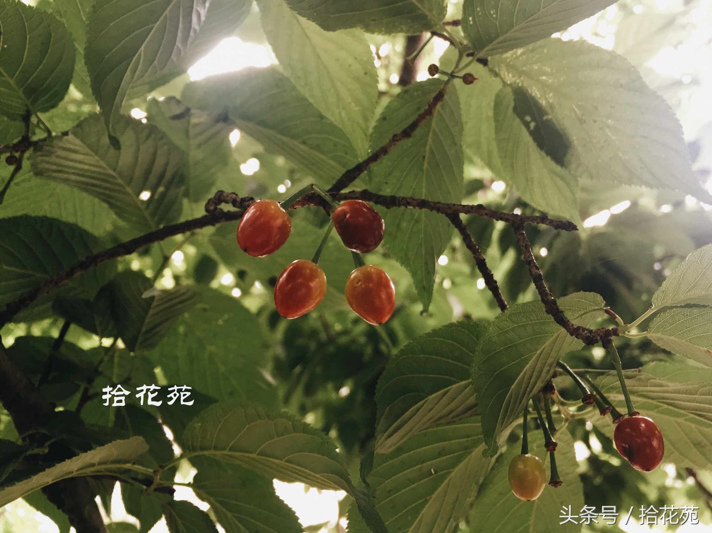 福州五一海边旅游推荐,福州五一海边游