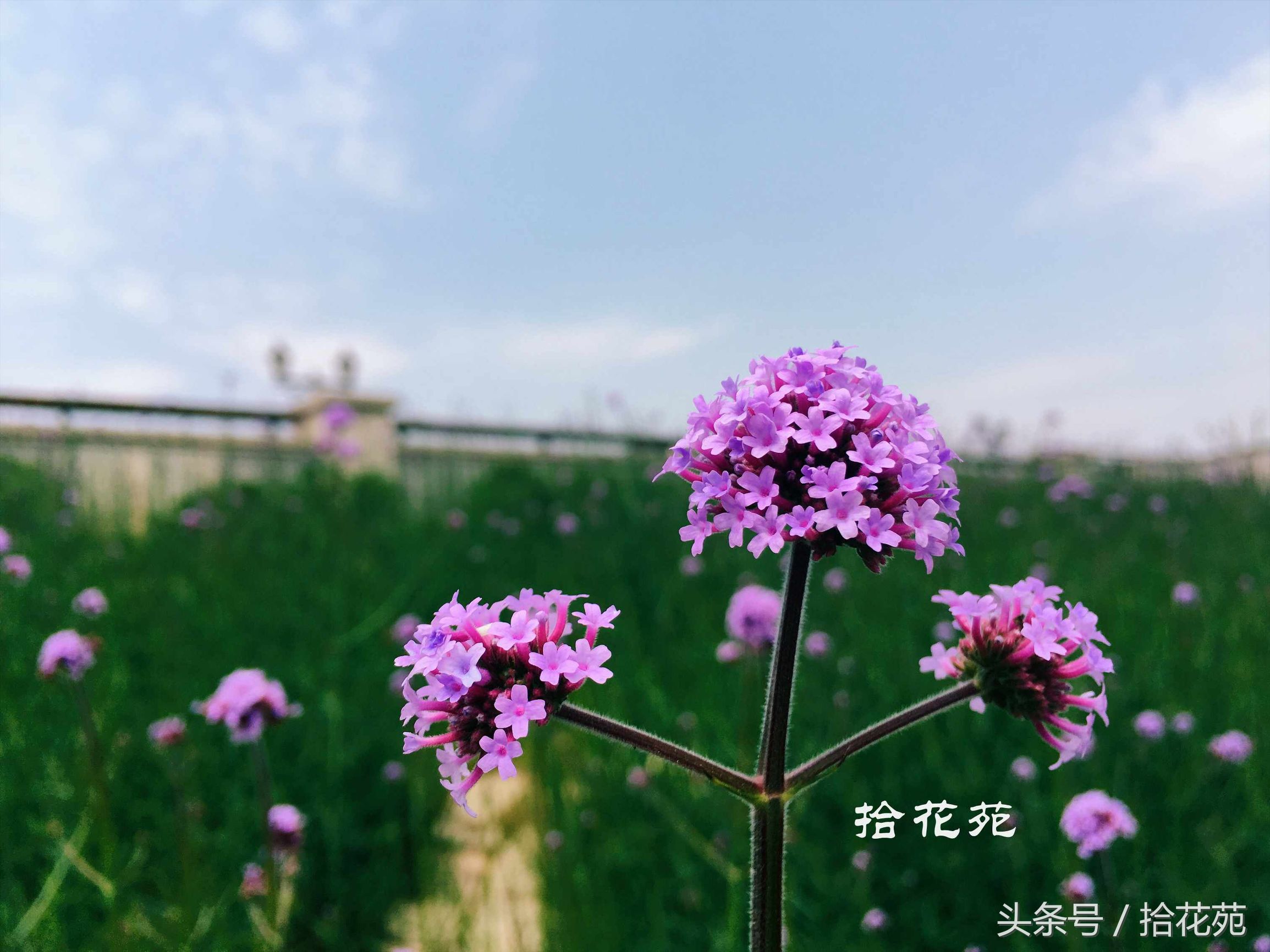 福州五一海边旅游推荐,福州五一海边游