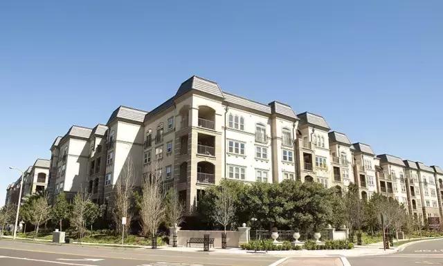 中国人赴美生子：我不占用美国福利，这句话一定要抢先说出口