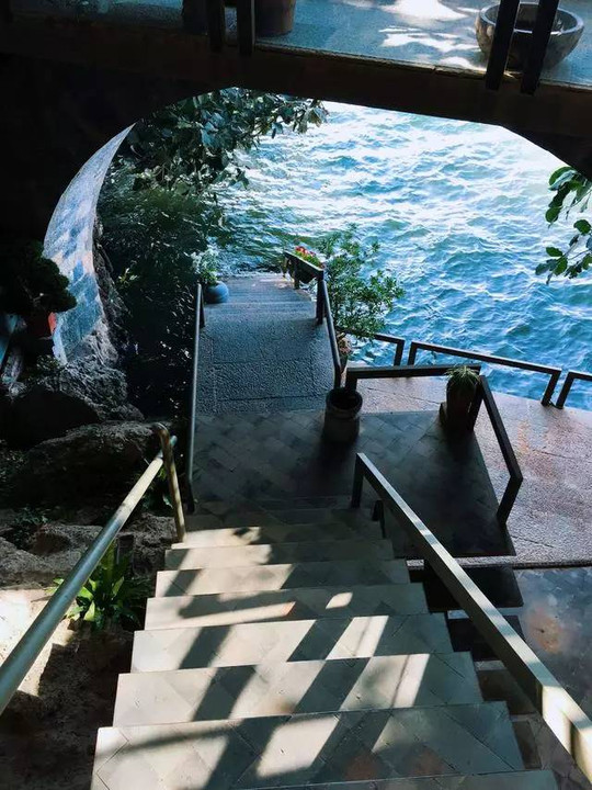 鲁豫和杨丽萍照片,美哭了新疆舞蹈