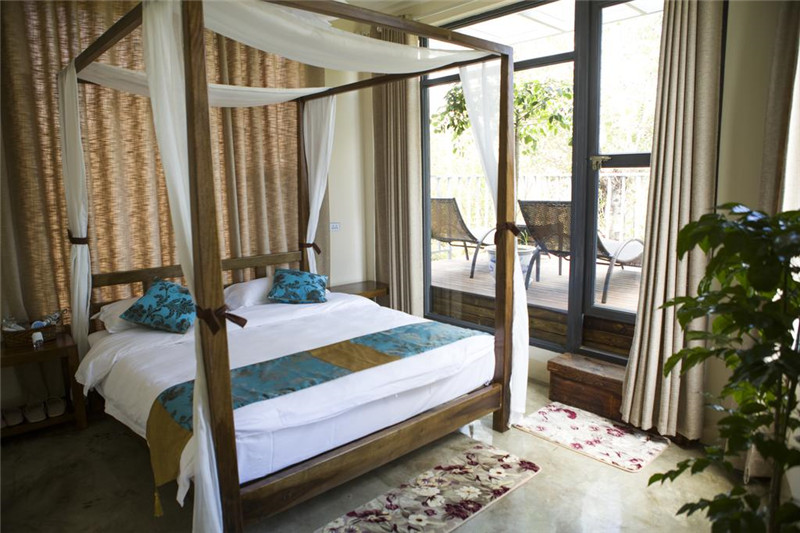 鲁豫和杨丽萍照片,美哭了新疆舞蹈