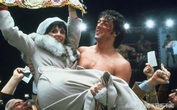 拳击电影讲解,拳击套路完整版