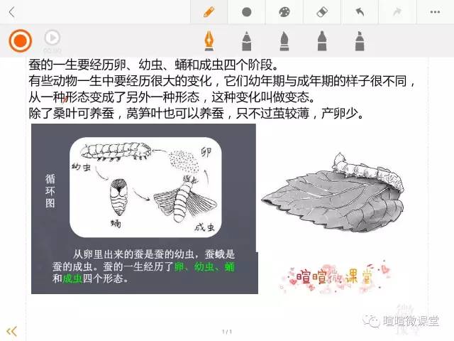 小学三年级下科学动画,科学卡通图案