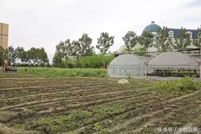 再见了四川大学,成都川大锦城学院