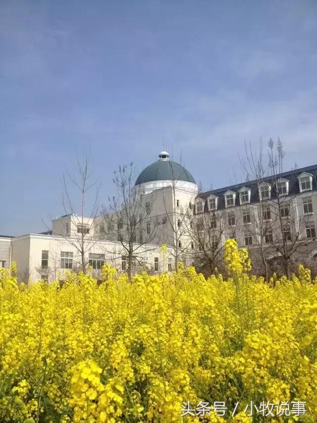 再见了四川大学,成都川大锦城学院