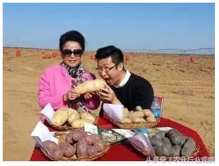 如何可以有效的销售农产品,新手如何做好卖农产品的推广