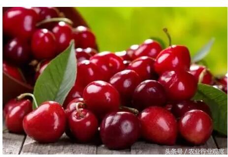 如何可以有效的销售农产品,新手如何做好卖农产品的推广