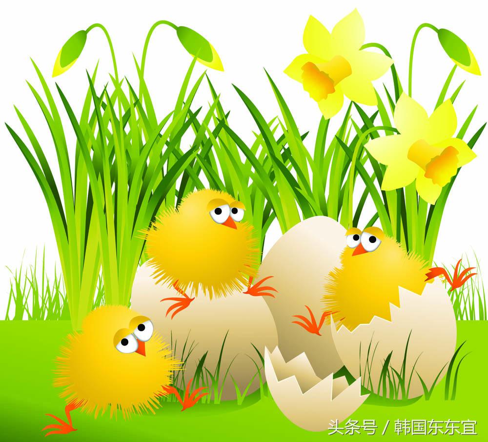 哪一年属鸡人最好命,鸡人出生月命运详解