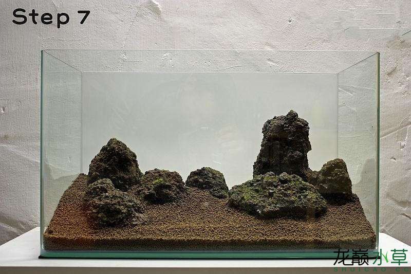 水草造景之我见-水草造景详细开缸教程及相关常见问题预防解答