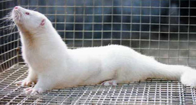 会叫的孩子有奶吃,会叫的娃娃有奶吃