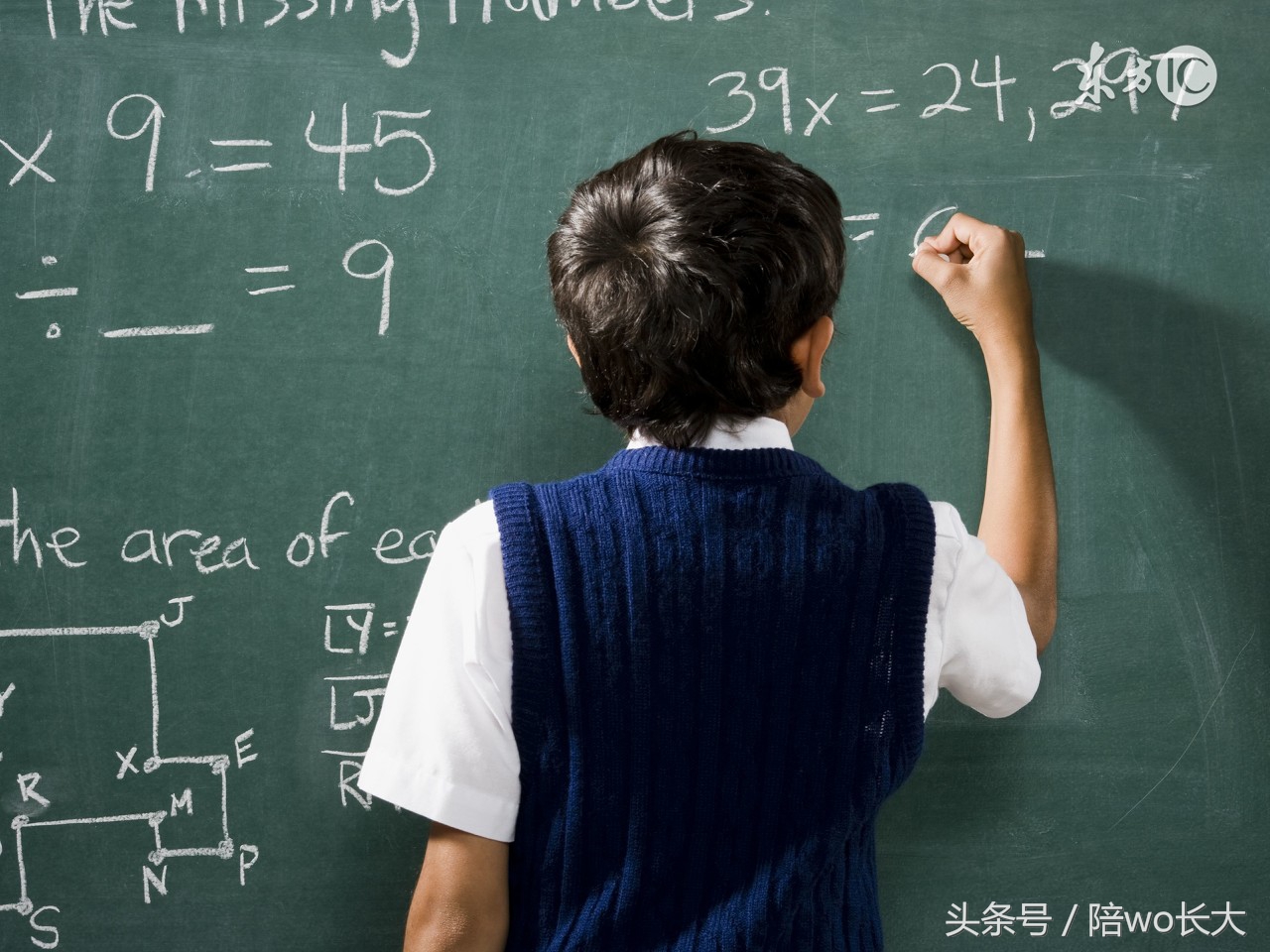 我为什么不去华德福工作——华德福小学面试记