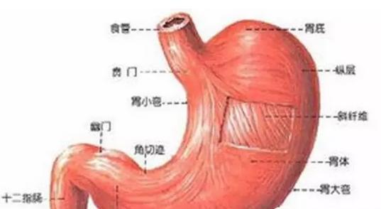 贲门癌打嗝严重是厉害了吗,贲门癌打嗝严重是什么情况