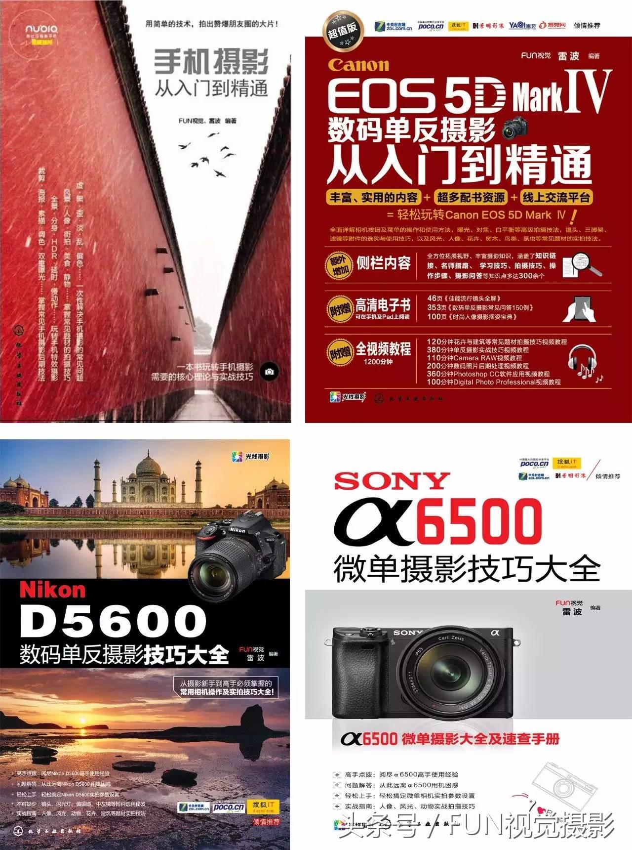 花卉创意摄影作品欣赏,花卉创意摄影十个技巧是什么