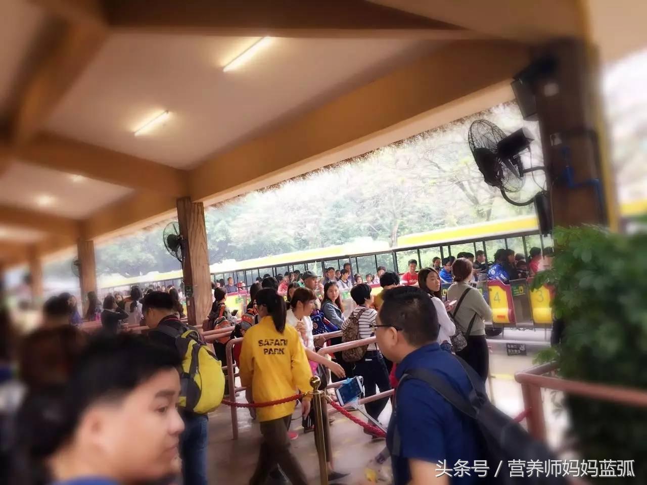 5.1带孩子去长隆推荐,带娃广东长隆欢乐世界游玩攻略