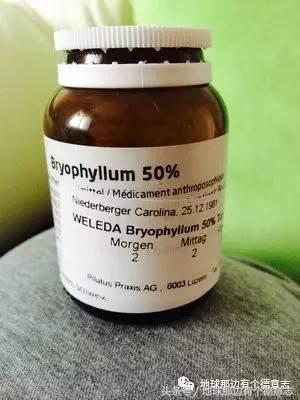 咪私料|我的德国育儿日记:德国孕妇用什么保健品和药品?