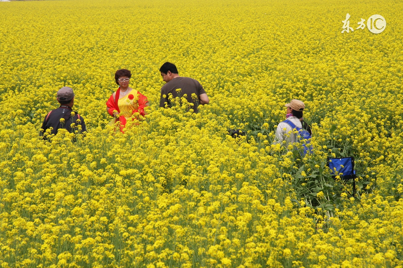 高血压心脏病人如何旅游,心脏病人能去拉萨旅游吗