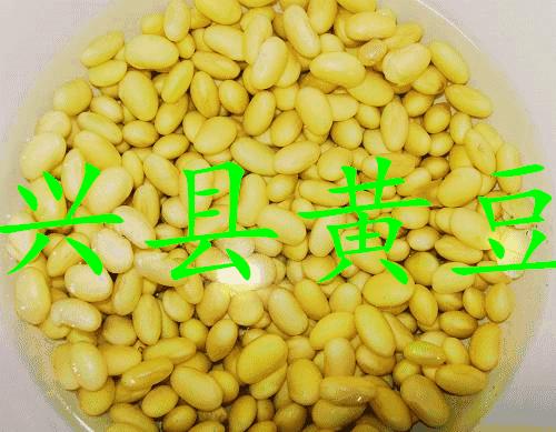 北伐叶挺,叶挺北伐吴佩孚