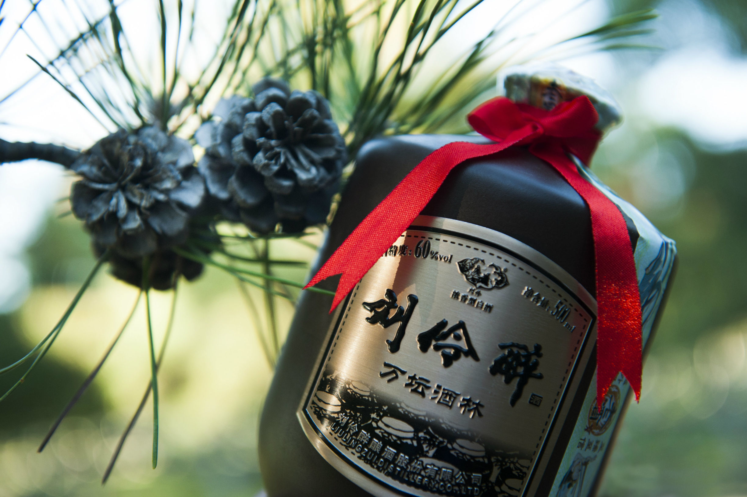 重庆最大海洋公园,重庆最大的海洋公园是哪个