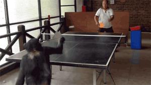 当武士刀遇到剑,一刀砍下去见真知,武士刀:就是让你想不到