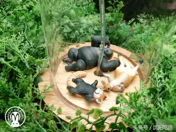 猪脚剔骨头不伤皮的做法,隆江猪脚剔骨全过程