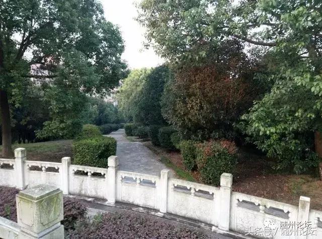 曾都一中真牛，快看！