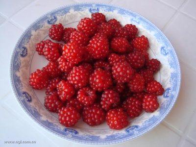 地道小吃童年味道,什么样的美食叫怀旧美食